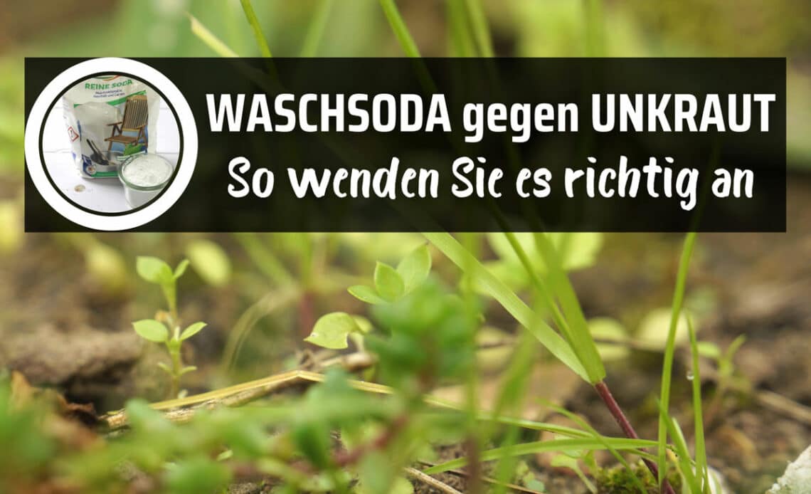 Waschsoda gegen Unkraut