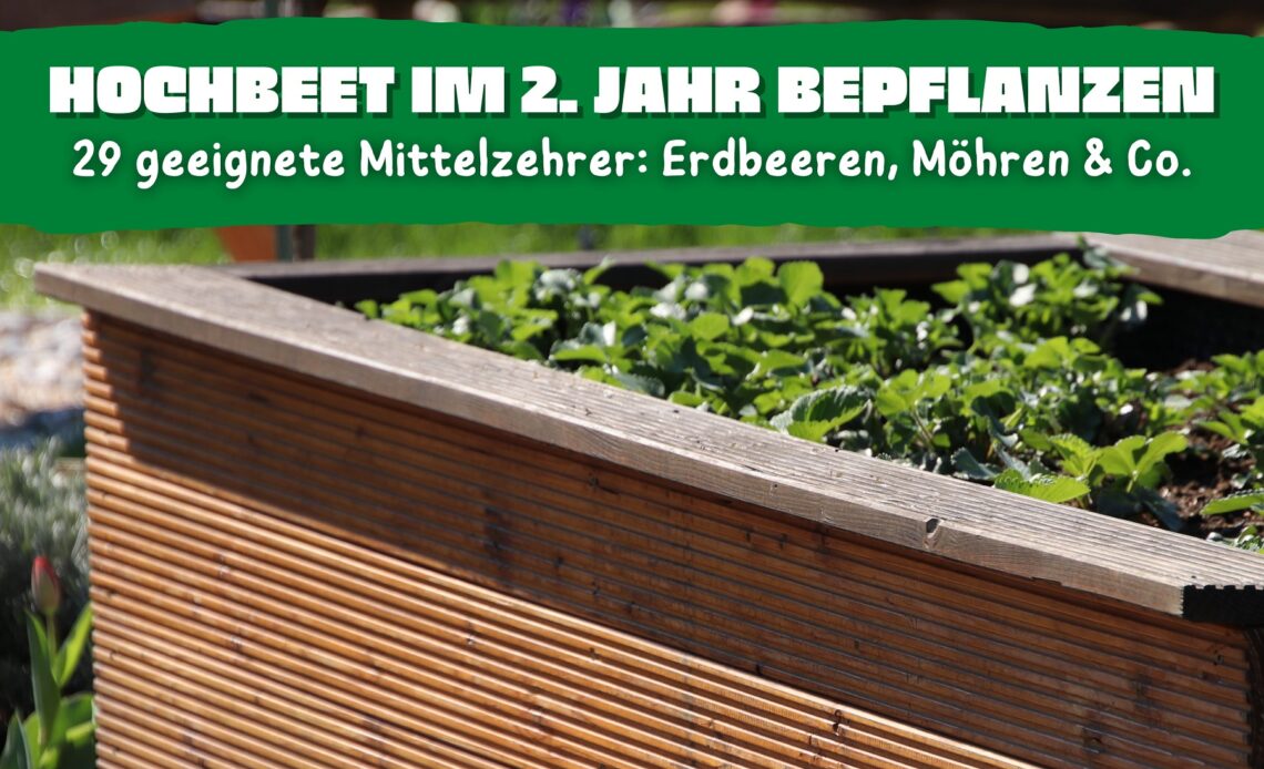 Hochbeet im zweiten Jahr bepflanzen