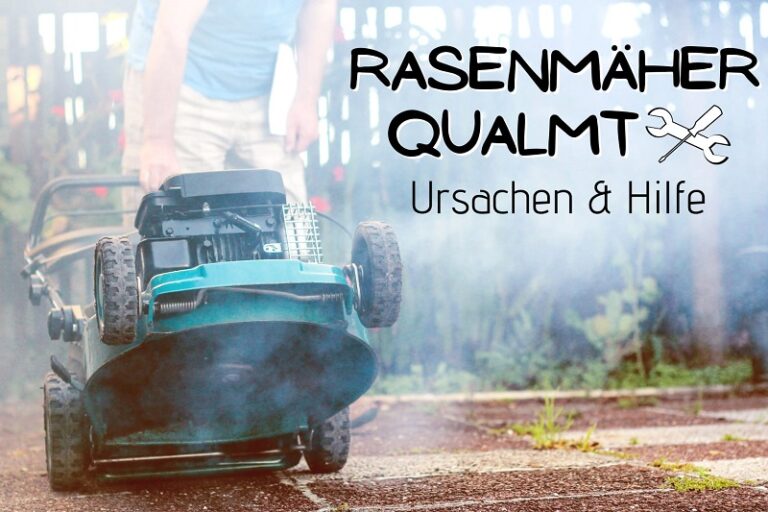 Rasenmäher qualmt was tun, wenn er raucht? Gartenrat.de