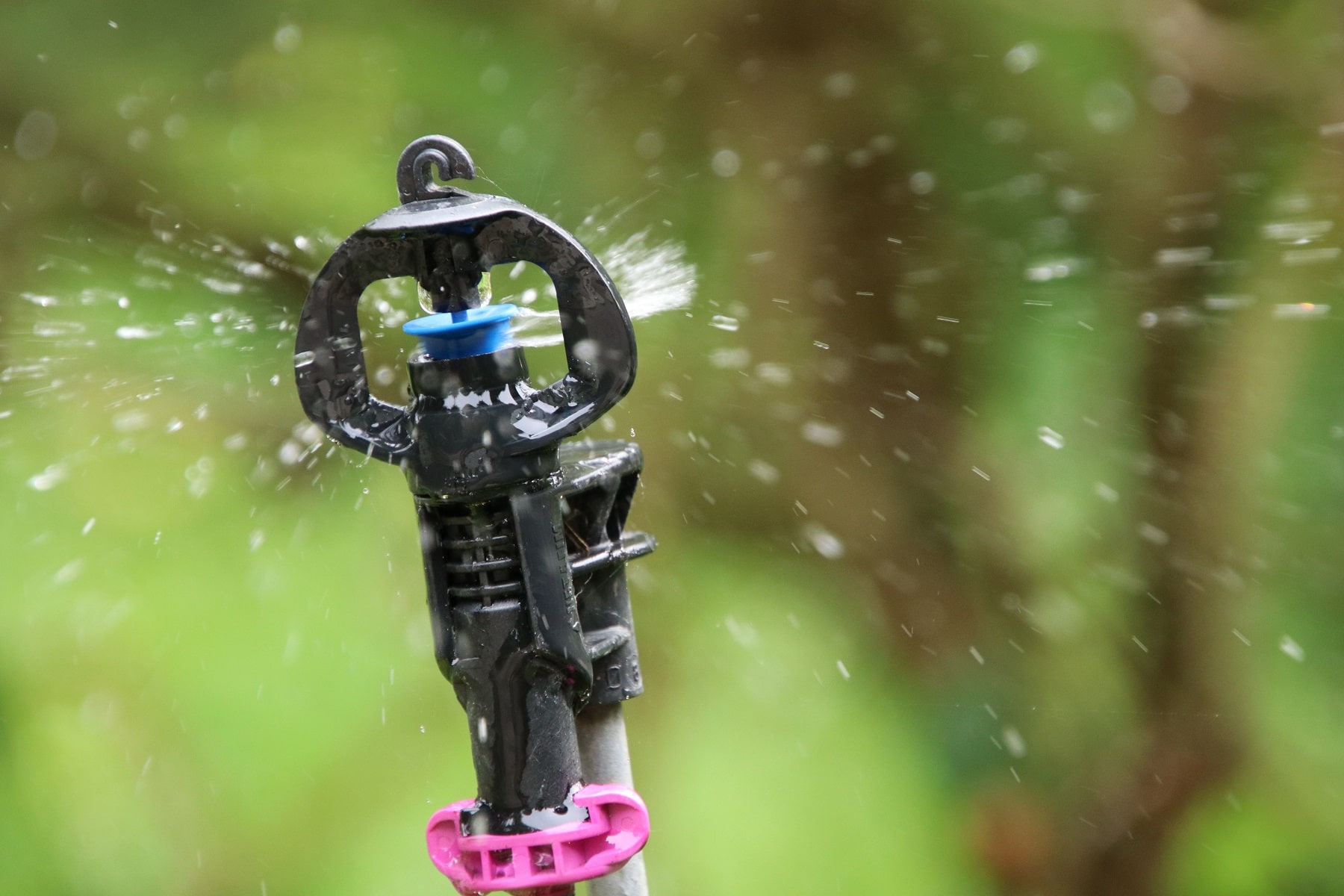 Hunde mit Wassersprinkler vertreiben