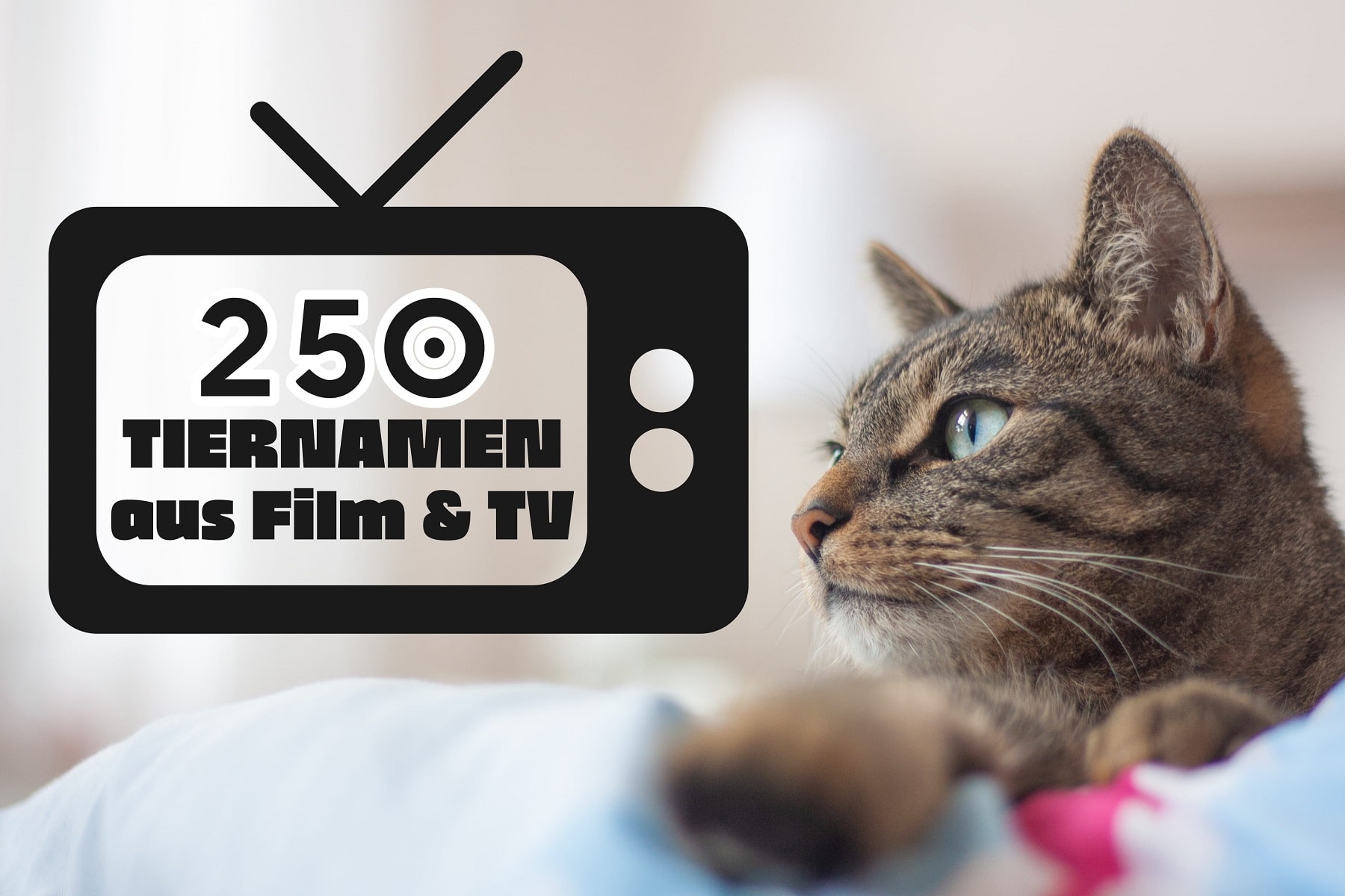 250 berühmte Namen für Tiere aus Filmen Tiernamen Gartenrat.de