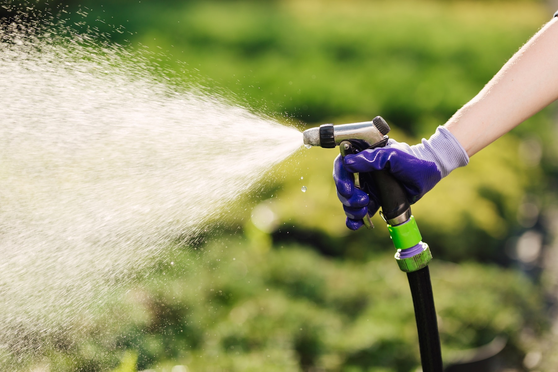 Frau hält Gartenschlauch mit Wasserschlauch