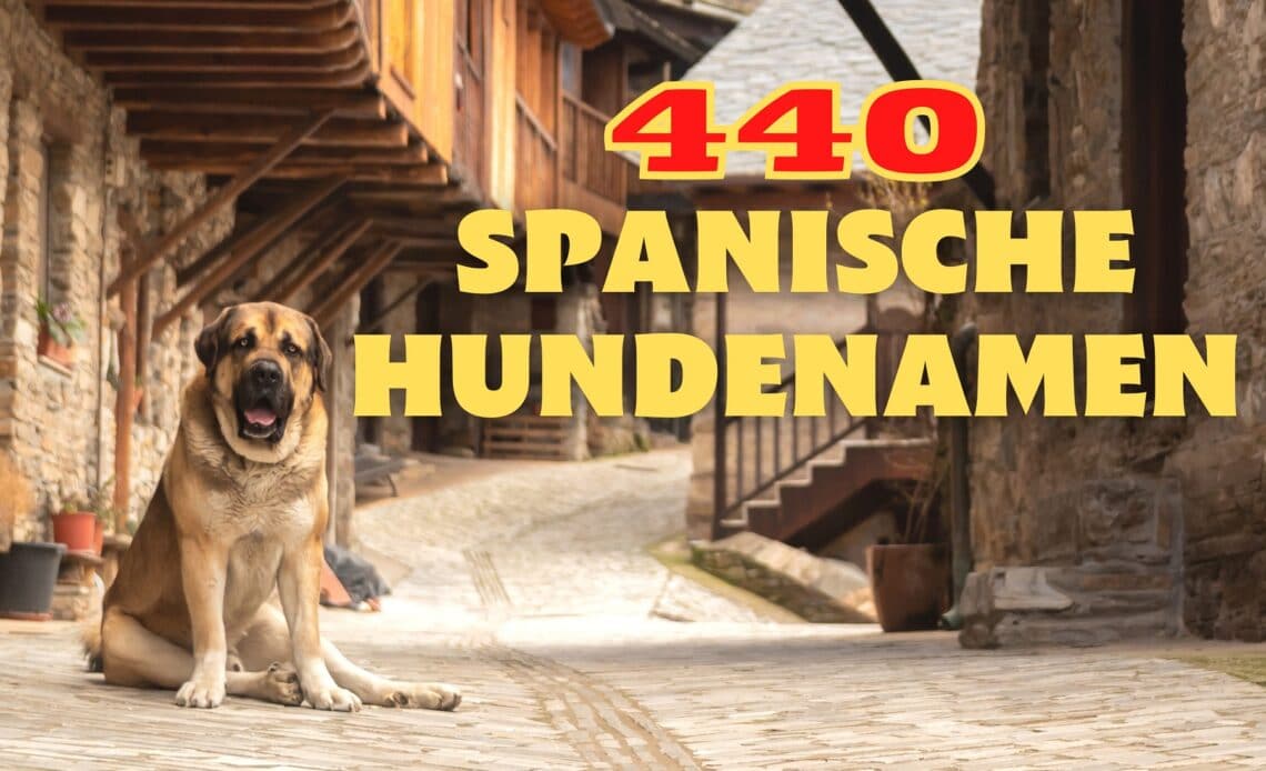 Spanische Hundenamen