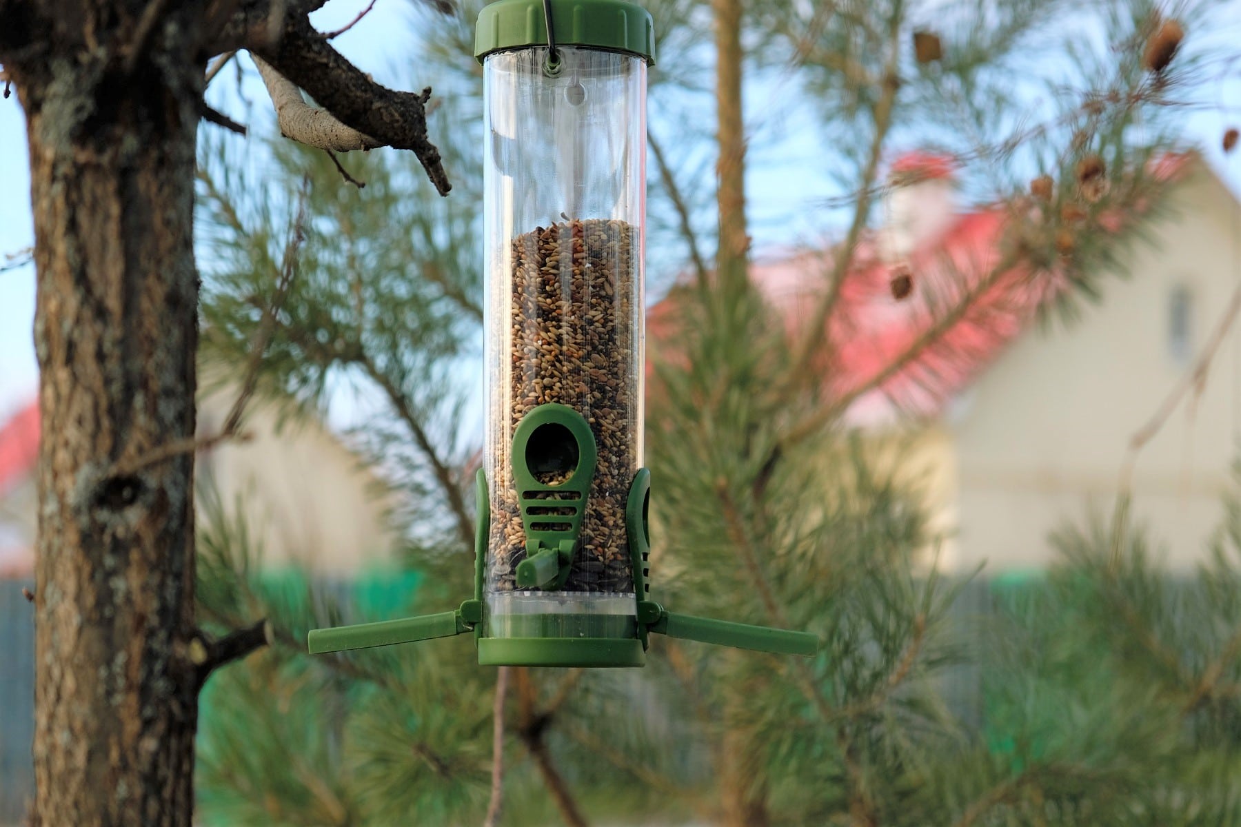 Futterautomat voller Vogelfutter im Garten