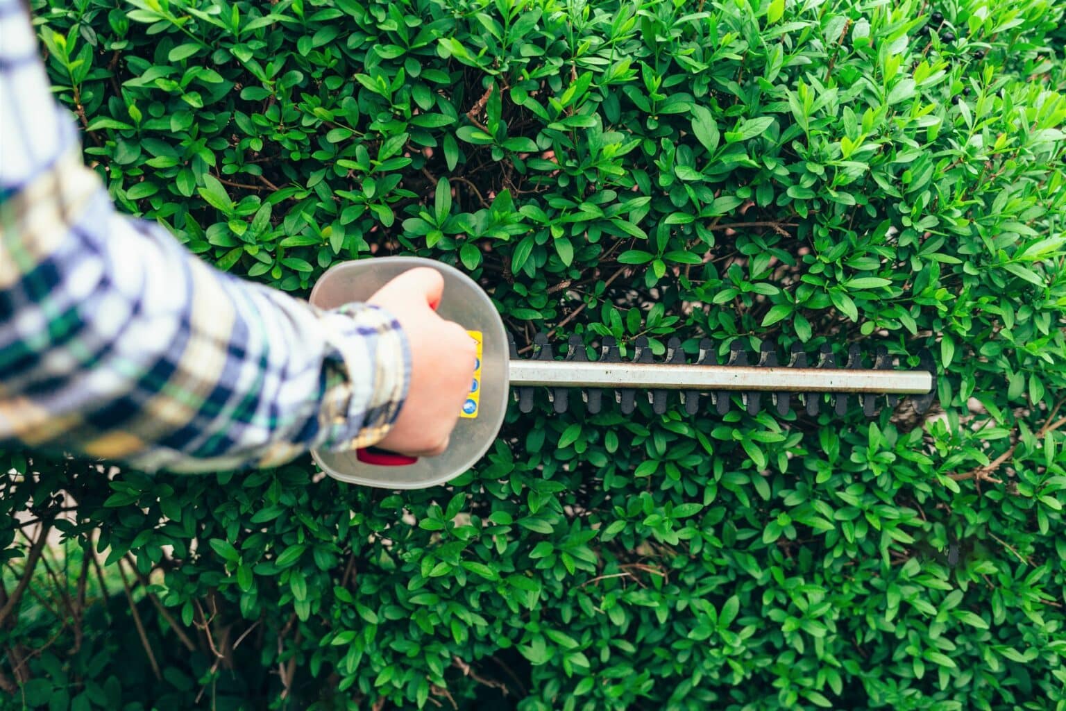 Wie hoch darf ein Sichtschutz zum Nachbarn sein? Gartenrat.de