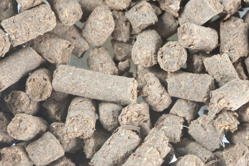 Pellets aus Hühnerdung