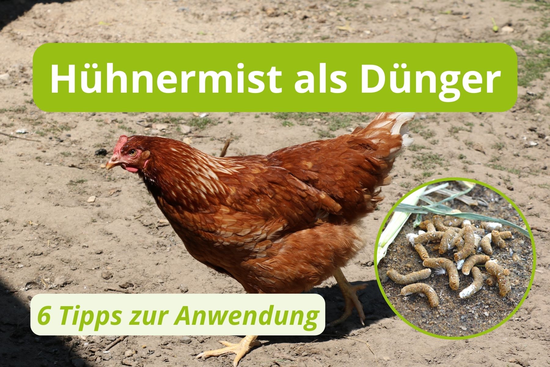 38+ Trockenbokashi Als Dünger Gemüsegarten, Natürlich düngen mit