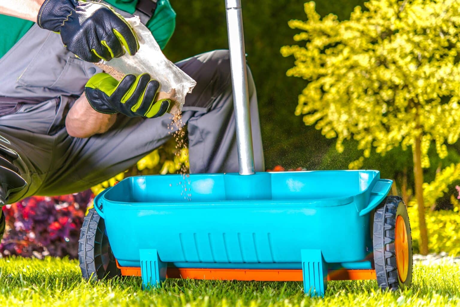 Rasen sanden welcher Sand und Körnung? Gartenrat.de