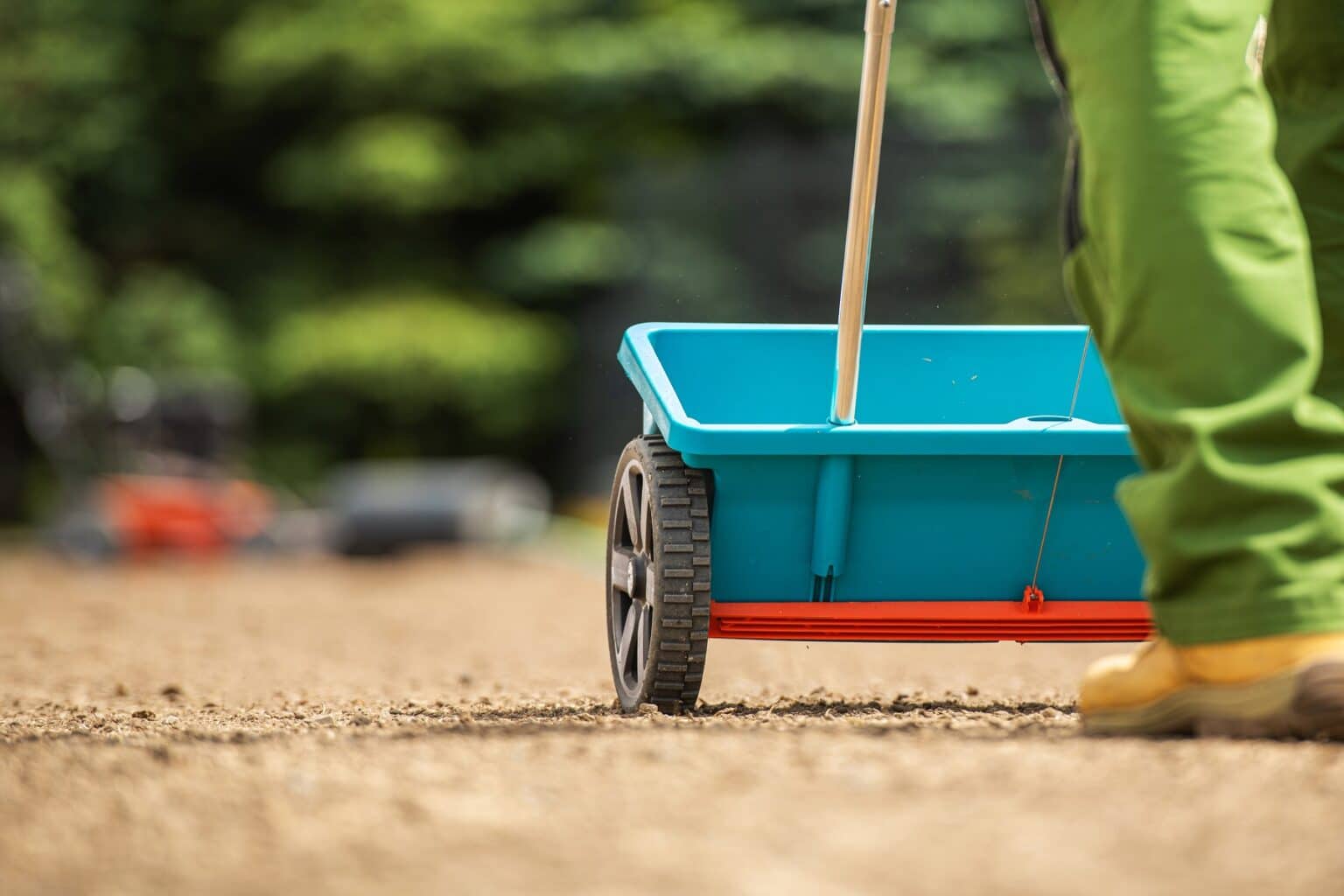 Rasen säen bei 5 Grad ist das möglich? Gartenrat.de