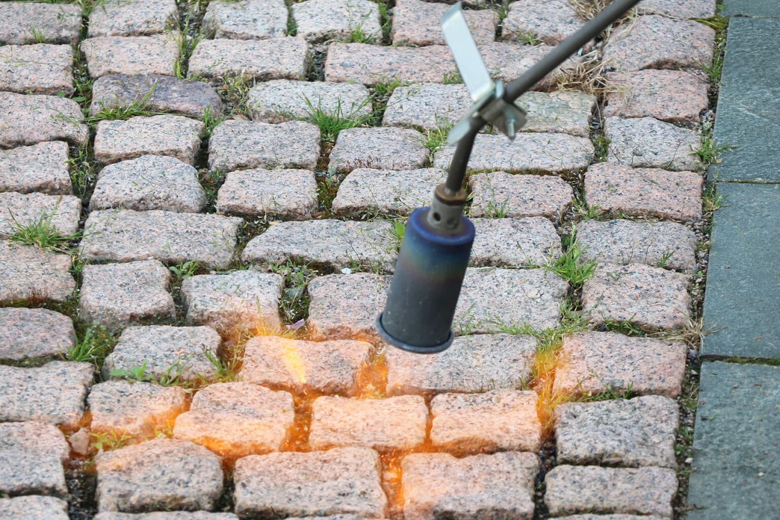 Unkraut zwischen Steinen entfernen 9 Hausmittel Gartenrat.de